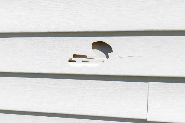 Storm Damage Siding Repair in Maple Grove, MN