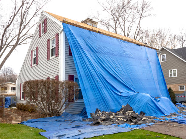 Affordable siding repair and maintenance services in Maple Grove, MN